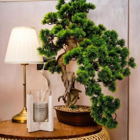 Rosebay Std - Infinity Pool & *