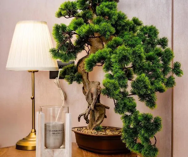 Rosebay Std - Infinity Pool & *