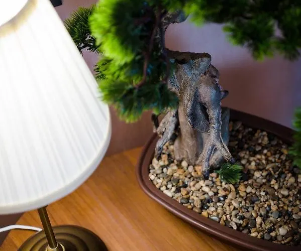 Rosebay Std - Infinity Pool & Apartmán *